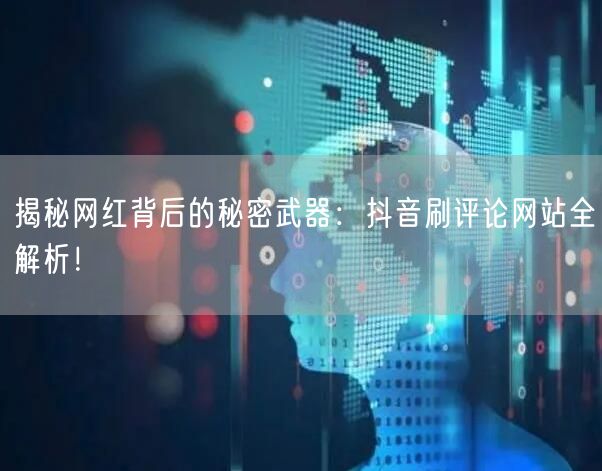 揭秘网红背后的秘密武器：抖音刷评论网站全解析！
