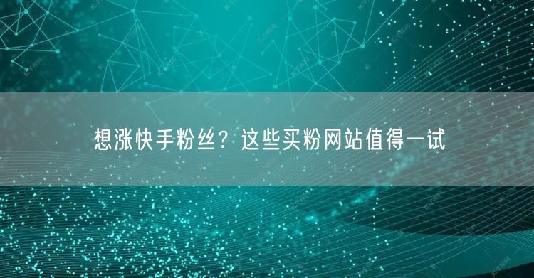 想涨快手粉丝？这些买粉网站值得一试