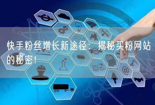 快手粉丝增长新途径：揭秘买粉网站的秘密！