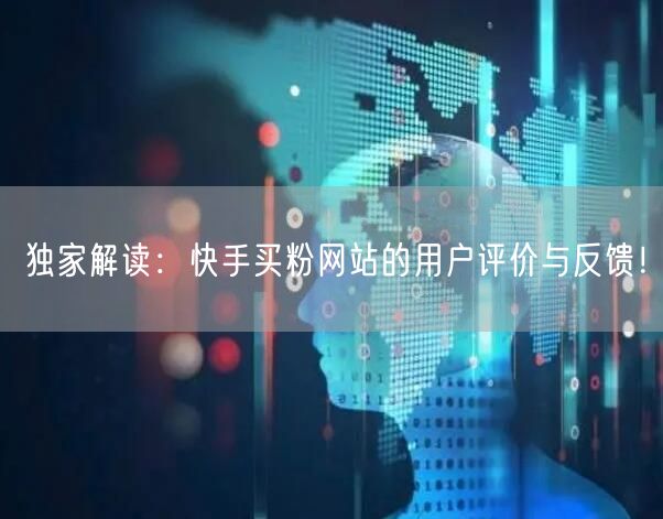 独家解读：快手买粉网站的用户评价与反馈！