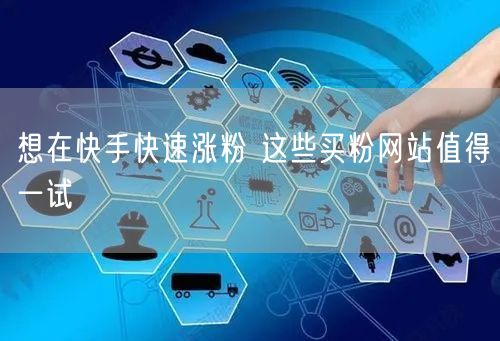 想在快手快速涨粉 这些买粉网站值得一试