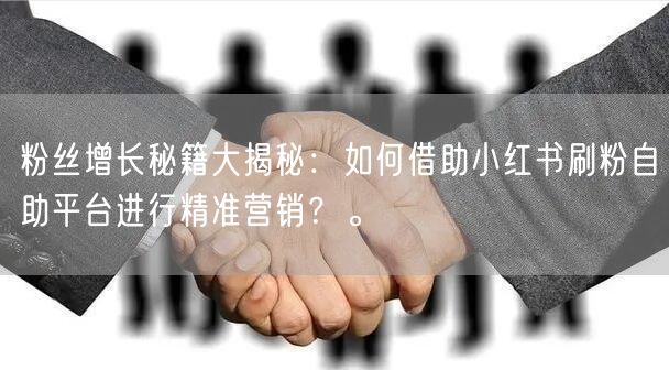 粉丝增长秘籍大揭秘：如何借助小红书刷粉自助平台进行精准营销？。