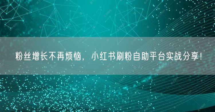 粉丝增长不再烦恼，小红书刷粉自助平台实战分享！