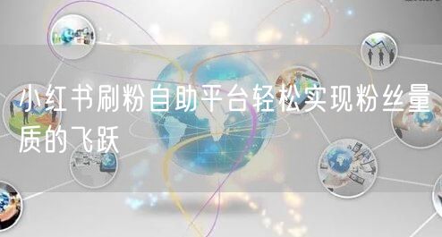 小红书刷粉自助平台轻松实现粉丝量质的飞跃