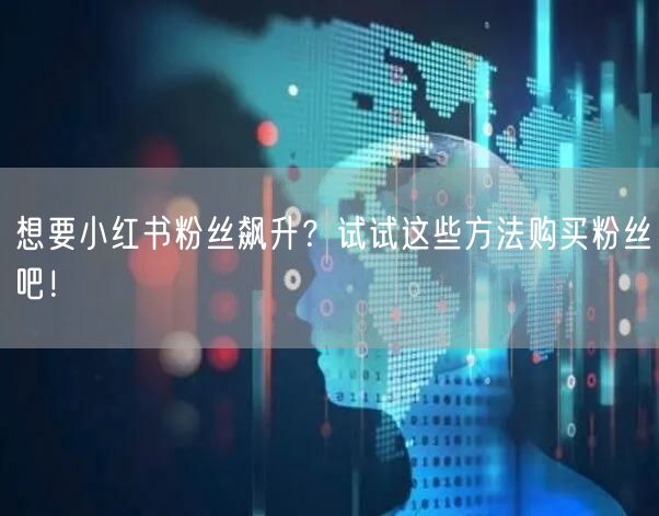 想要小红书粉丝飙升？试试这些方法购买粉丝吧！