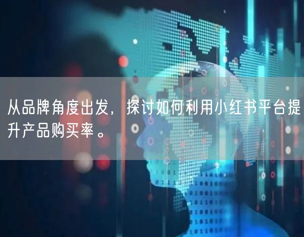 从品牌角度出发，探讨如何利用小红书平台提升产品购买率。