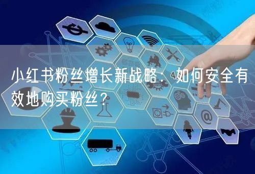 小红书粉丝增长新战略：如何安全有效地购买粉丝？