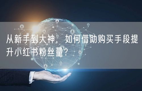 从新手到大神，如何借助购买手段提升小红书粉丝量？