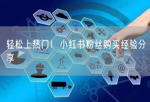 轻松上热门！小红书粉丝购买经验分享
