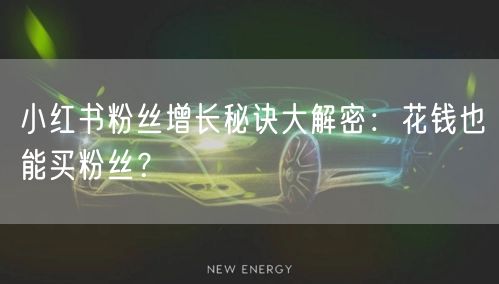 小红书粉丝增长秘诀大解密：花钱也能买粉丝？