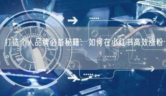打造个人品牌必备秘籍：如何在小红书高效涨粉。