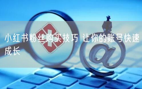 小红书粉丝购买技巧 让你的账号快速成长
