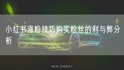 小红书涨粉技巧购买粉丝的利与弊分析