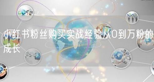 小红书粉丝购买实战经验从0到万粉的成长