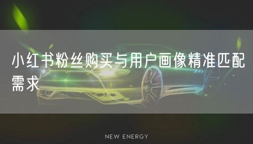 小红书粉丝购买与用户画像精准匹配需求