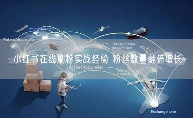 小红书在线刷粉实战经验 粉丝数量翻倍增长